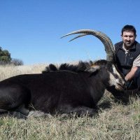 Sable - Hoeksfontein (1)