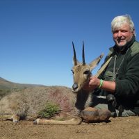 Vaal Rhebuck - Hoeksfontein Safaris (2)