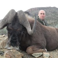 Wildebeest – Black - Hoeksfontein ZA (12)