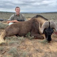 Wildebeest – Black - Hoeksfontein ZA (18)