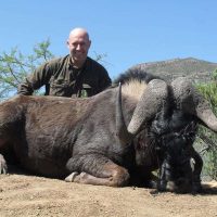 Wildebeest – Black - Hoeksfontein ZA (25)