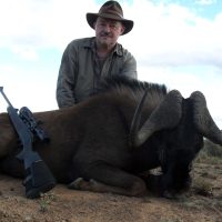Wildebeest – Black - Hoeksfontein ZA (26)