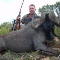 Wildebeest – Black - Hoeksfontein ZA (5)