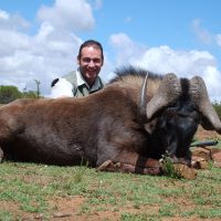 Wildebeest – Black - Hoeksfontein ZA (8)