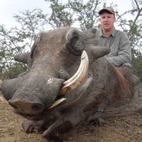 warthog (12)