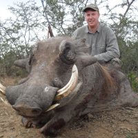 warthog (14)