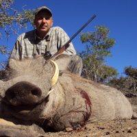 warthog (2)