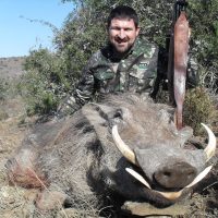 warthog (20)