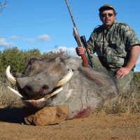 warthog (25)